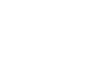 Bora Logo